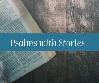 Women's Summer Bible Study